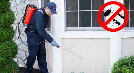 Bor Hamam Böceği İlaçlama böcek ilaçlama ve haşere kontrolü — ilaclama-tr.com
